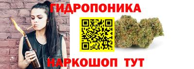 прущие грибы Нягань